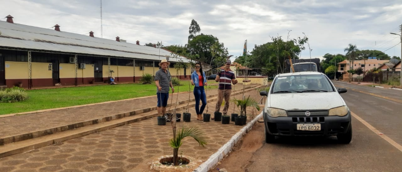 Plantio de Mudas de árvores, projeto com RGE.